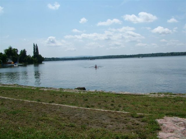 DSCF7209 (Medium)
